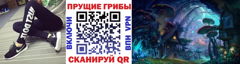 Галлюциногенные грибы Psilocybe  Купить  Бахчисарай 